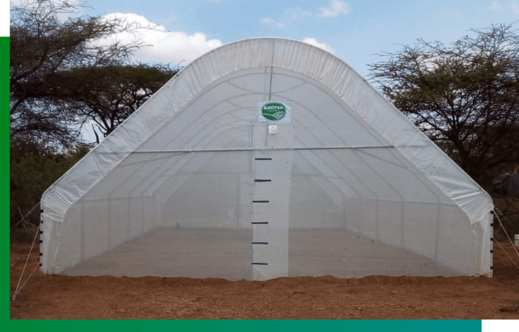 Greenhouse Amiran Kenya