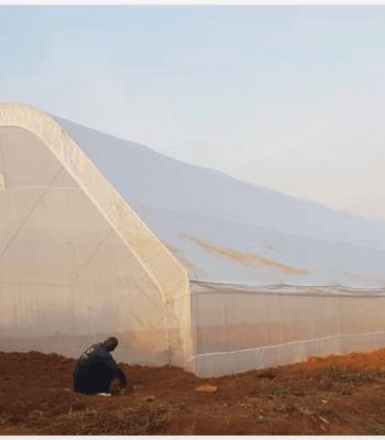 balton rwanda greenhouse project photos 1