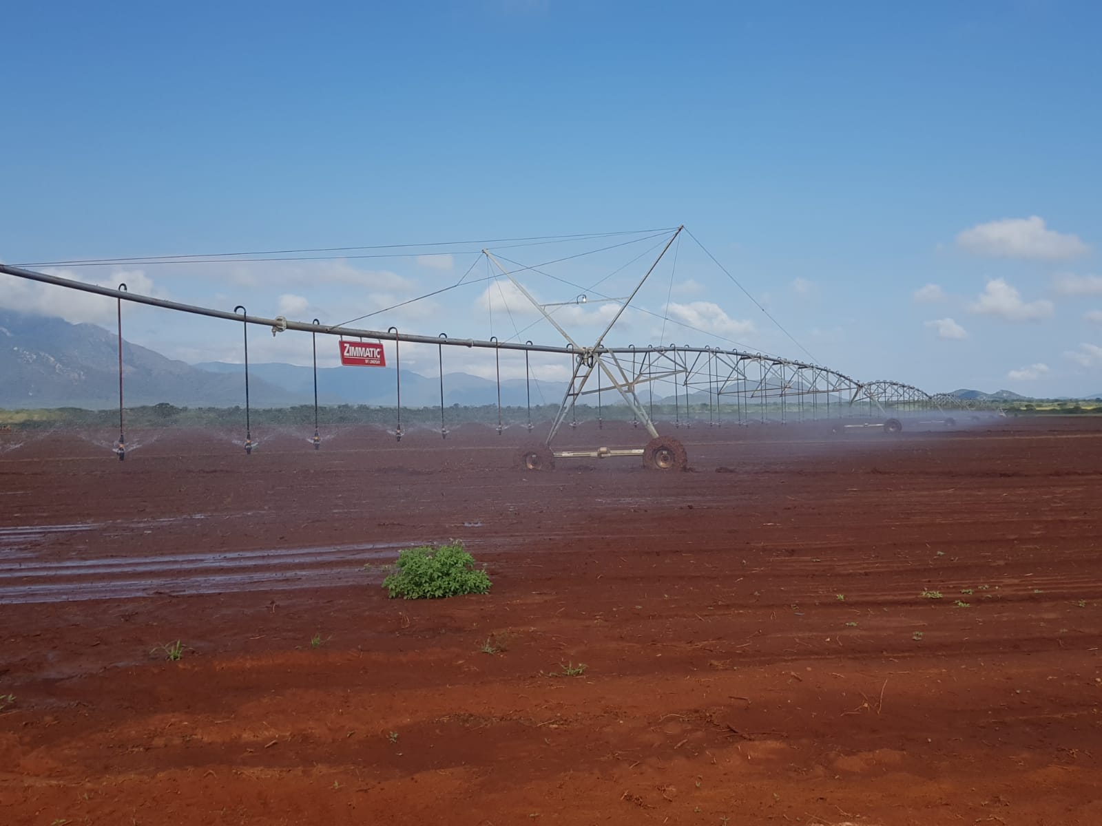 irrigation dizengoff ghana