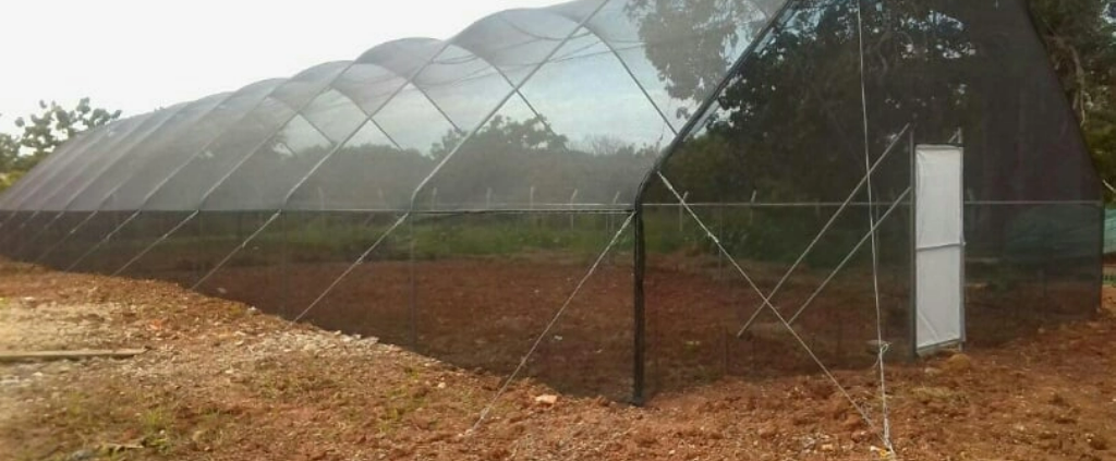 shade net greenhouse Balton Nigeria