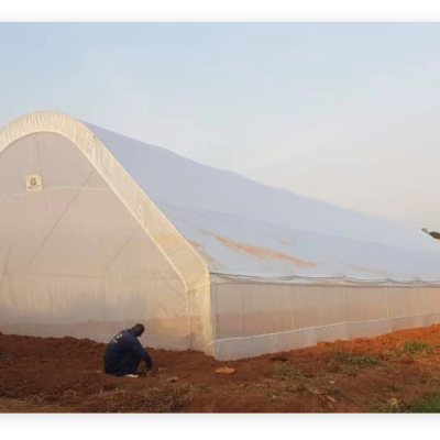 balton rwanda greenhouse project photos 1