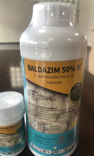 baldazim 50% sc fungicide chemical balton rwanda