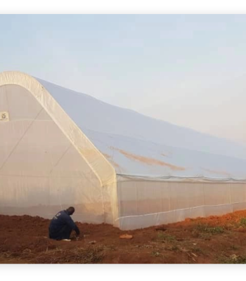 greenhouse balton rwanda