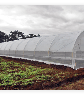 greenhouse balton tanzania