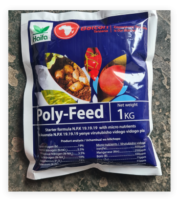 polyfeed starter fertilizer balton tanzania