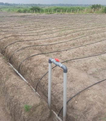 drip irrigation balton uganda