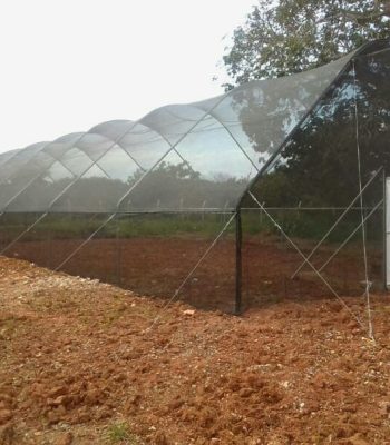 shade net greenhouse balton uganda