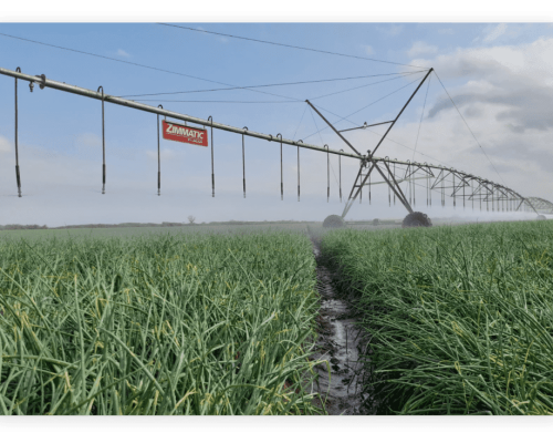 irrigation balton cp